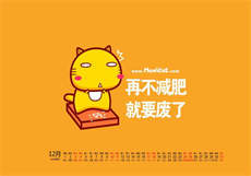 萌白可爱的小兔子
